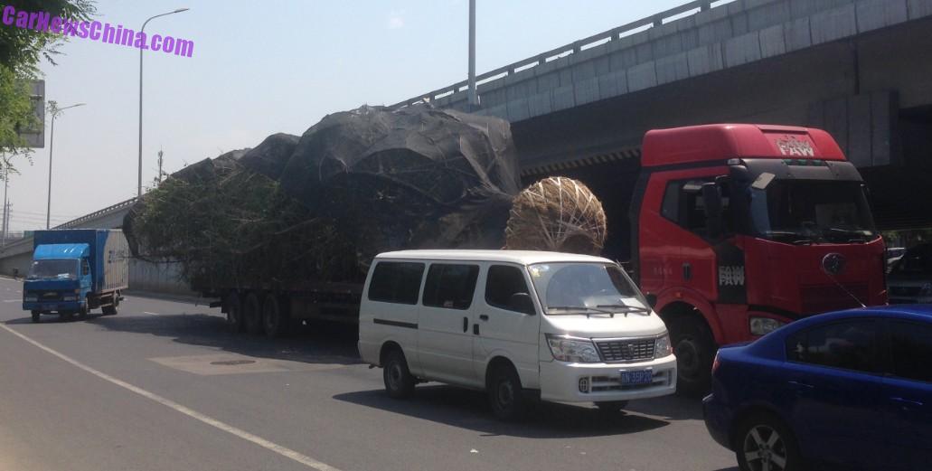 truck-tree-china-bj-1