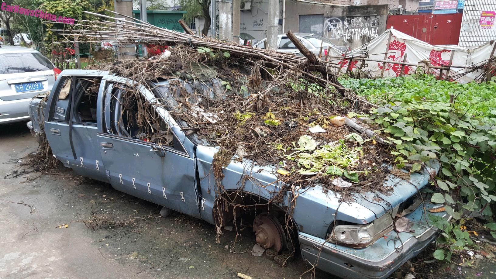buick-roadmaster-china-1