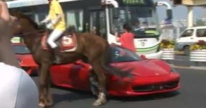 ferrari-horse-1